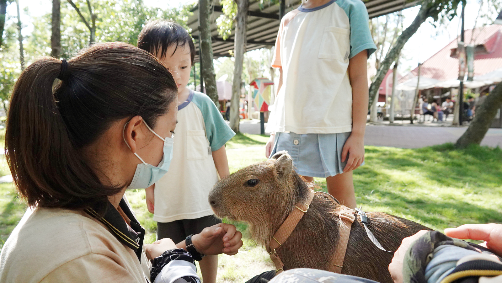 頑皮世界野生動物園