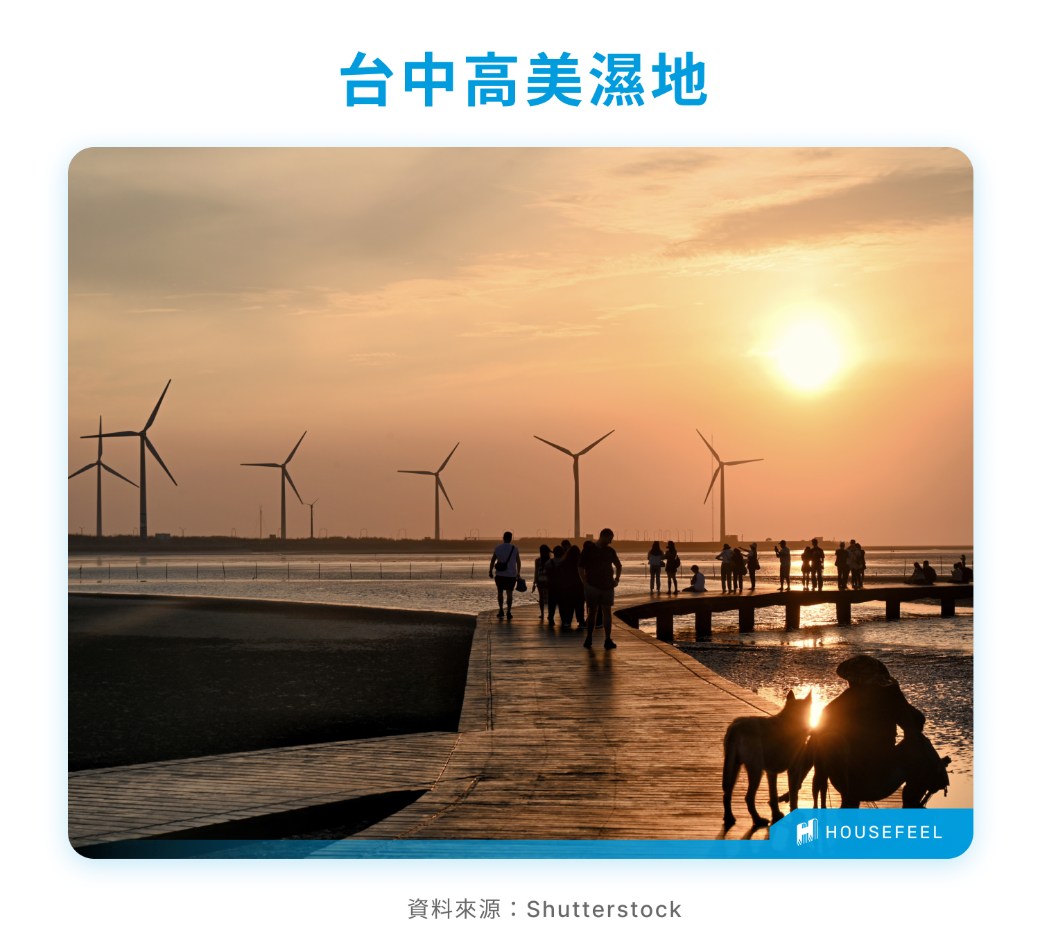 台中高美濕地 台中高美濕地