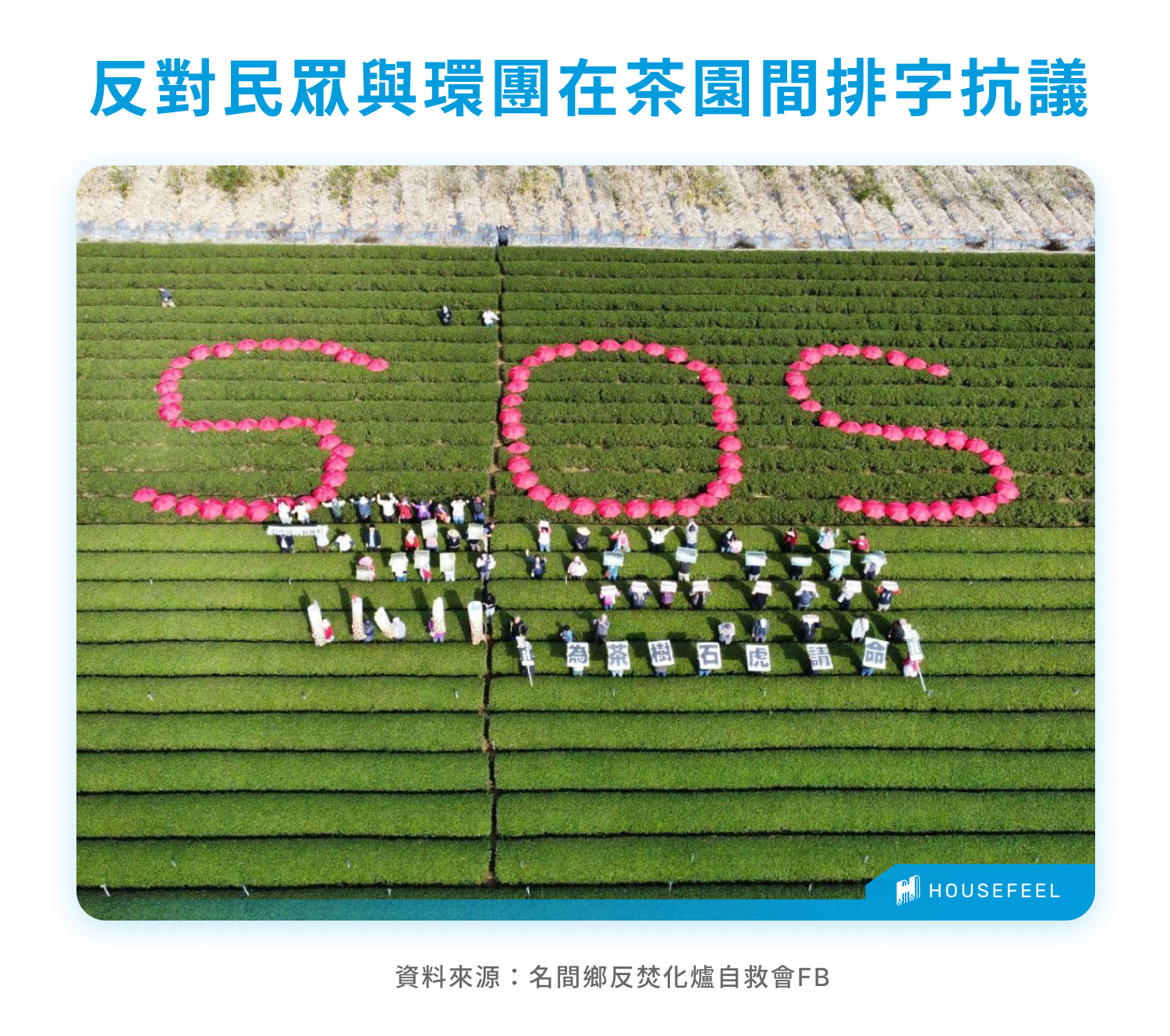 反對民眾與環團在茶園間排字抗議