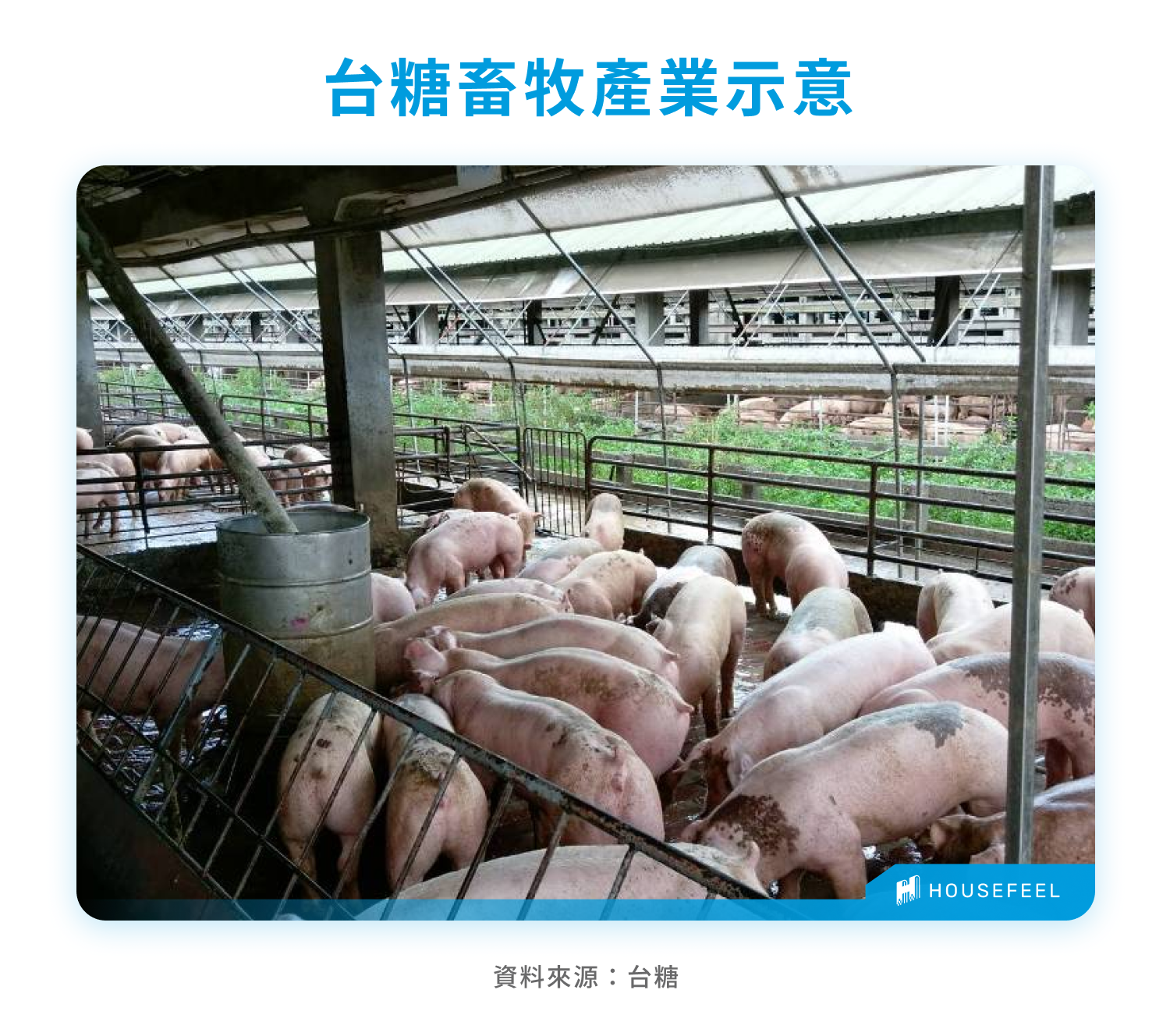 台糖畜牧產業示意