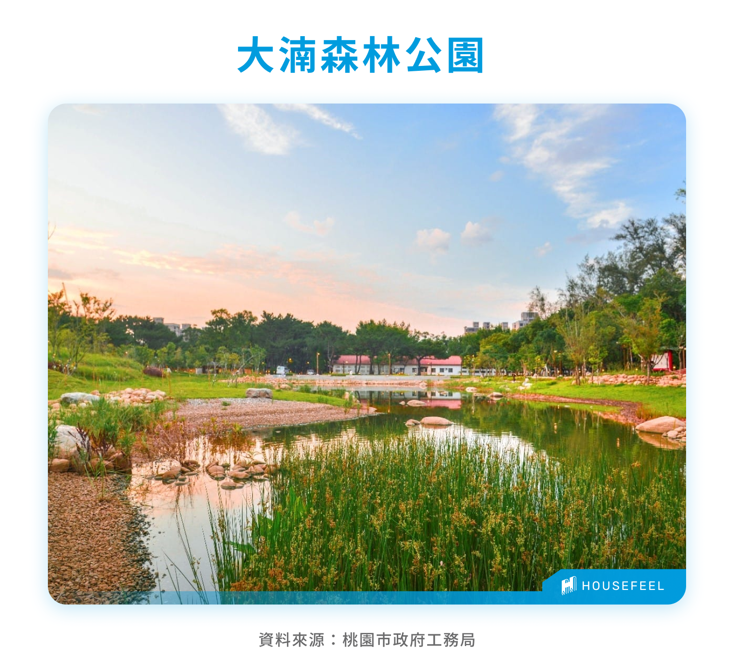 大湳森林公園 大湳森林公園