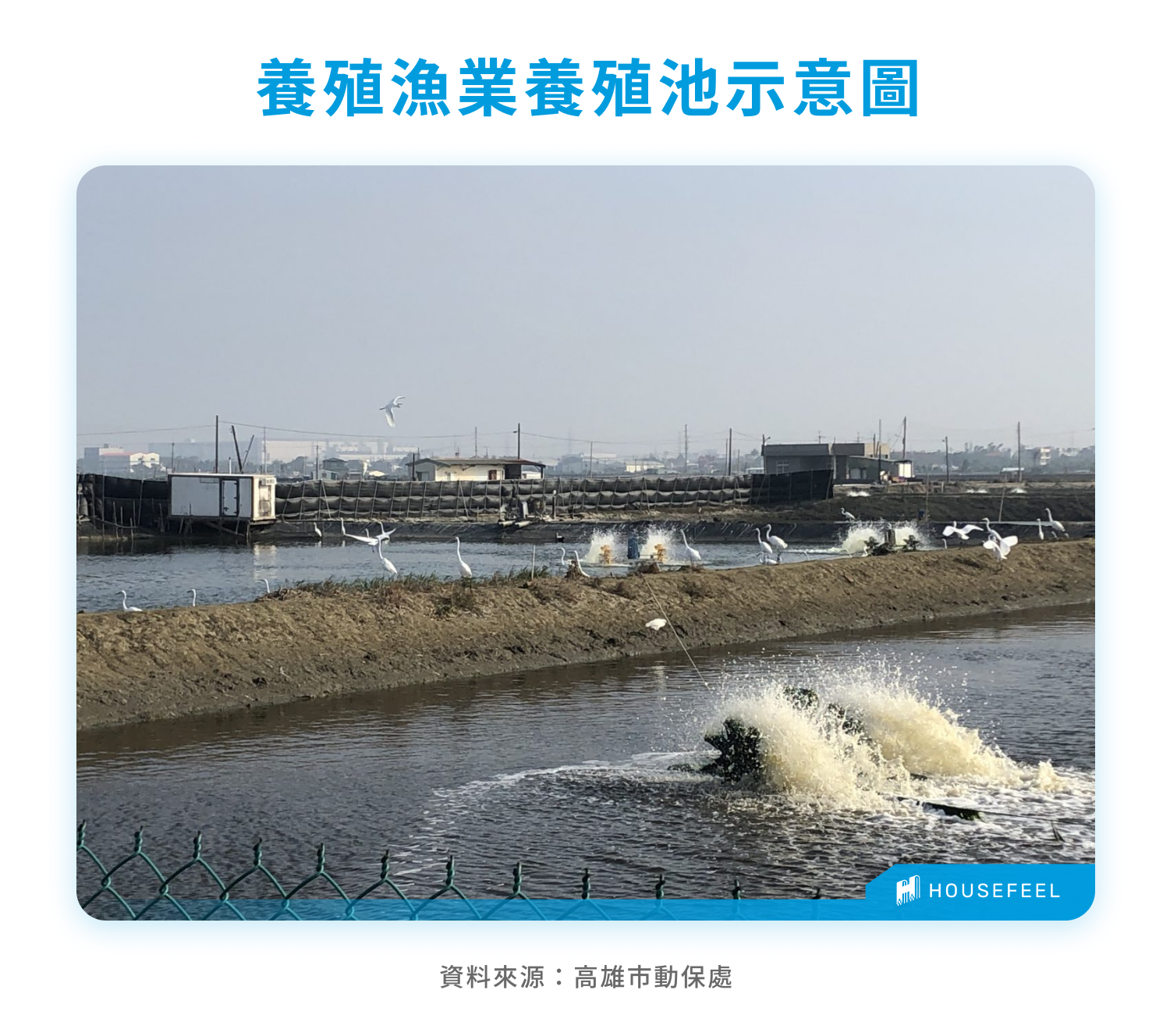 養殖漁業養殖池示意圖 養殖漁業養殖池示意圖